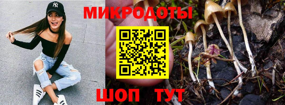 Галлюциногенные грибы GOLDEN TEACHER  Галлюциногенные грибы MAGIC MUSHROOMS  Нефтекамск  что такое   Вход с VPN 